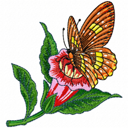 Butterfly Embroidery Design 6